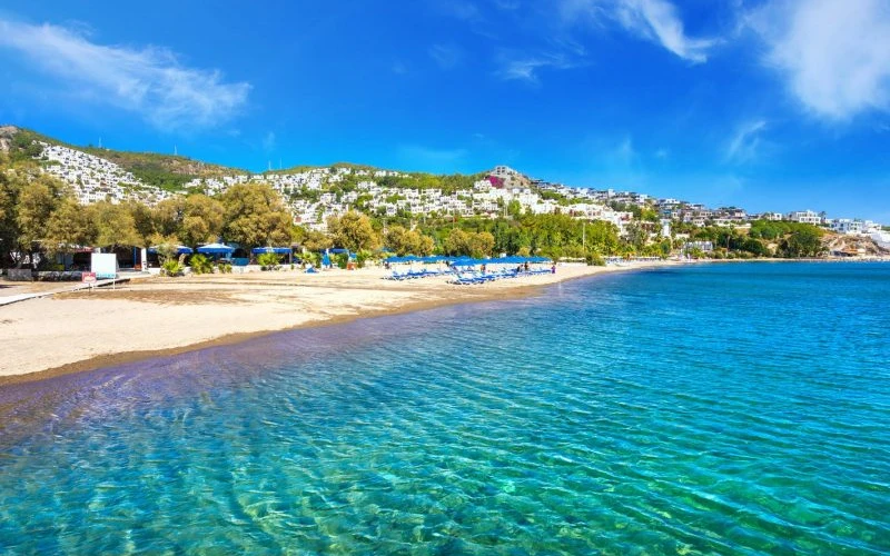 <p><meta charset="utf-8" />Swim in the clear sea</p>